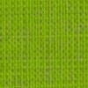Vella green