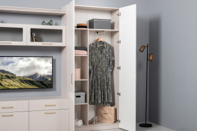 Шкаф для одежды Ричфорд 16.327.02