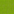 Vella green