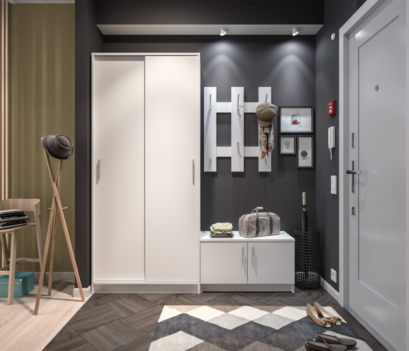 Шкафы-купе, Шкаф-купе 2-х дверный Терра СБ-2545