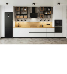 Холодильник с морозильной камерой FS 2201 DXN