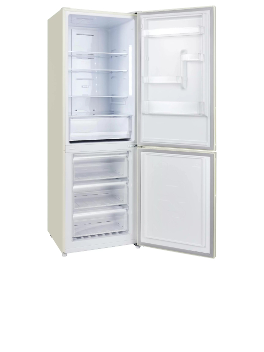 Холодильники/Морозильники, Холодильник с морозильной камерой FS 2201 DI