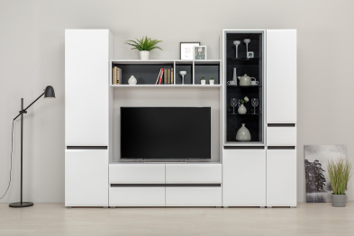 Тумба под ТВ Сидней 13.63, белый премиум, черный, белый глянец